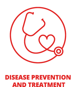 Nelson New Zealand Disease prevention