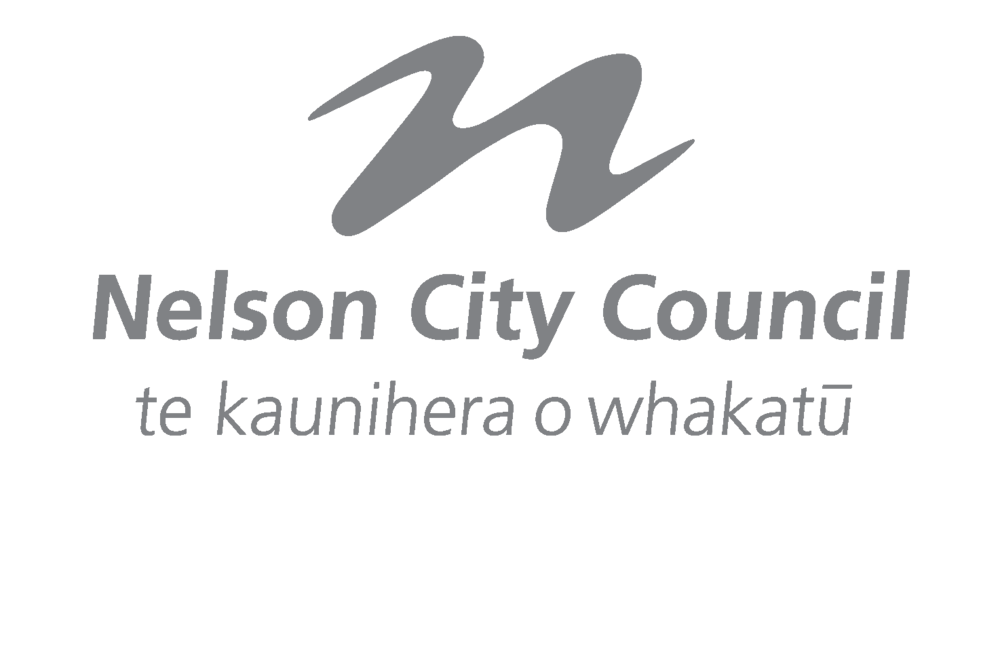 <p>Nelson City Council</p> Image